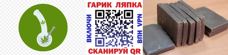 Купить где  Ильский  ГАШИШ Ice-O-Lator 