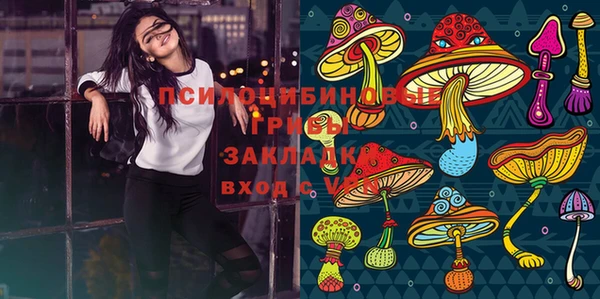 ECSTASY Козельск