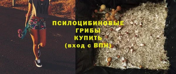 2c-b Кодинск