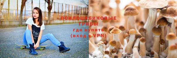 скорость Козловка