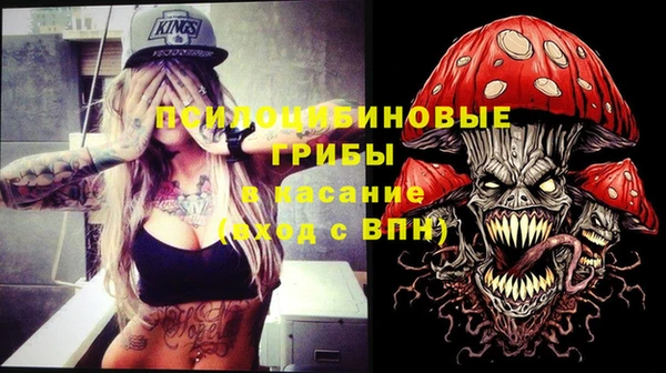 скорость Козловка
