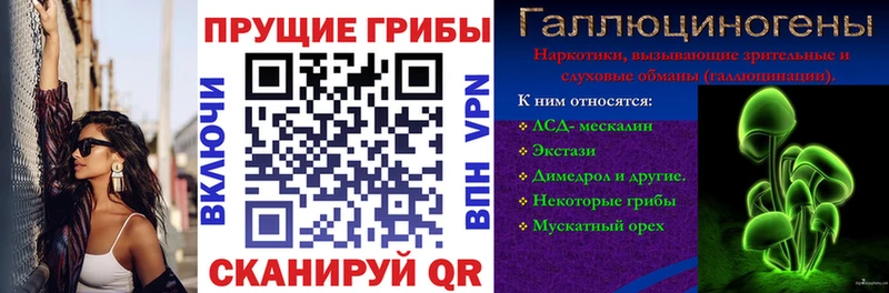 Купить где  Ильский  Галлюциногенные грибы Psilocybine cubensis 